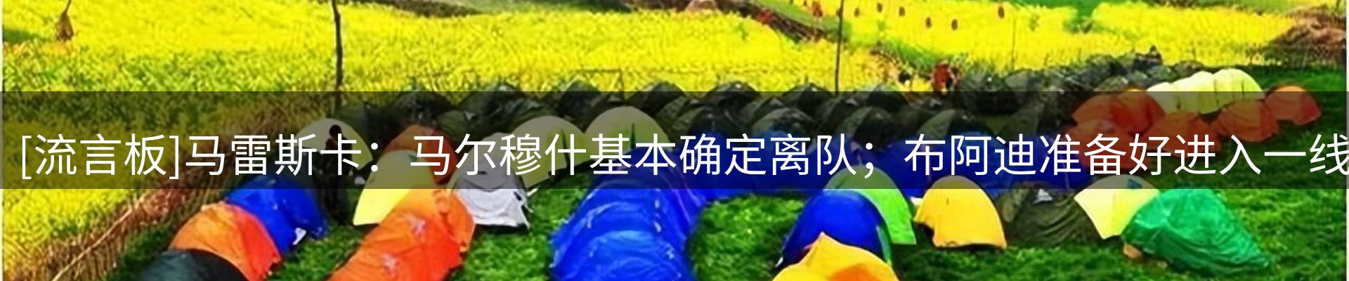 品牌简报